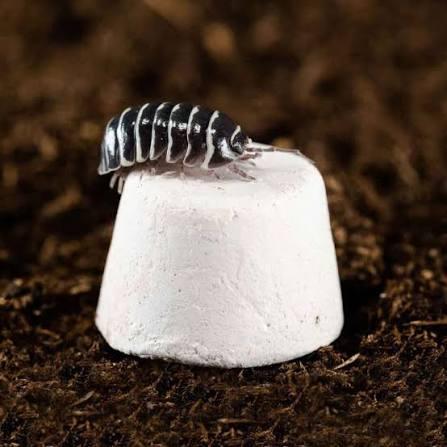 Calcium Block